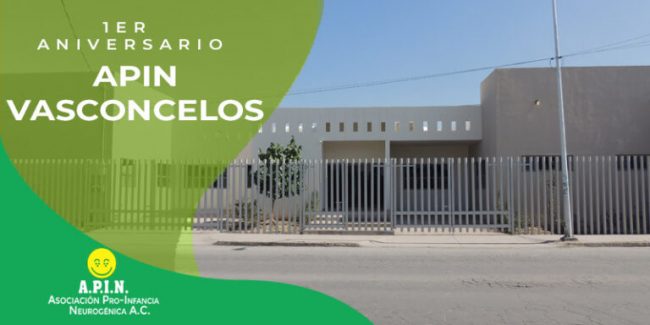 apin-vasconcelos-768×384